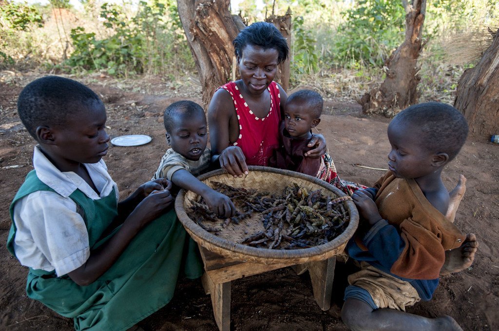 A family eats a daily meal of dried peas at home in Balaka district in Malawi. (June 2016)