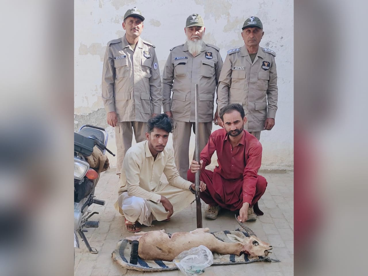 Cholistan Reserve;  A fine of 2 lakh 70 thousand rupees for hunting Chinkara deer