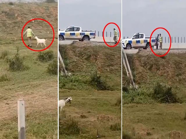 The video of the highway policeman taking the goat went viral, the matter was resolved