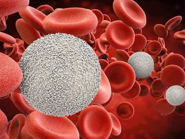 Scientists hope for blood cancer cure after breakthrough