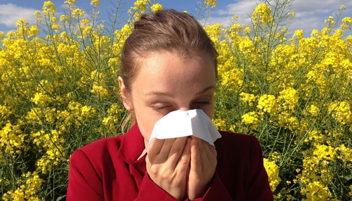 Natural remedies for common allergy symptoms --- File photo