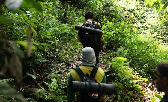 Achieving sustainable forest management remains UN forum’s goal