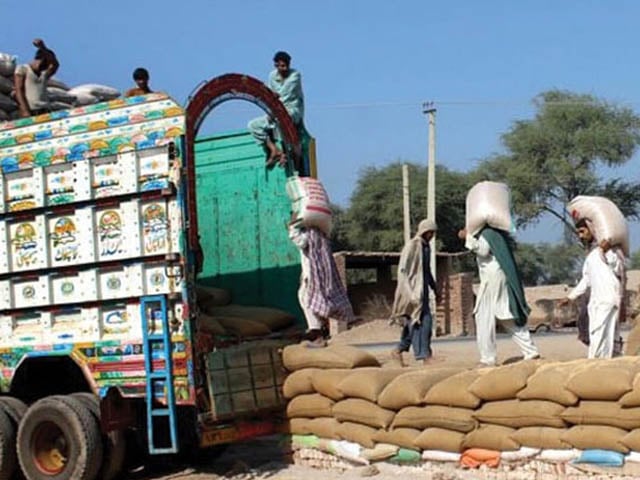 Decision to start purchasing 5 lakh tonnes of wheat from farmers in Balochistan