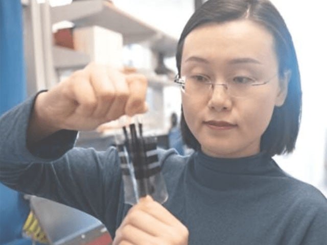 Electric skin that feels like humans (Photo: University of Texas)