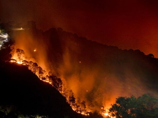 Due to the heat wave, the fire on the Margalla Hills intensified