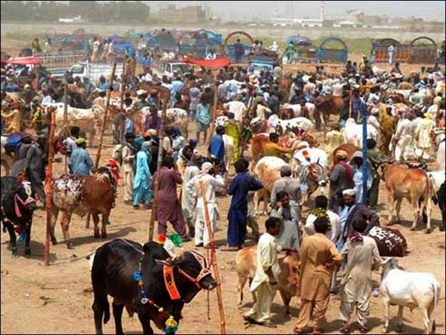 Decision to abolish the fee imposed on the market of sacrificial animals in Punjab