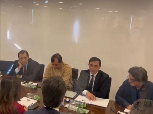 UN delegation meeting with PTI leadership, visit of Rauf Hassan Photo screen grab