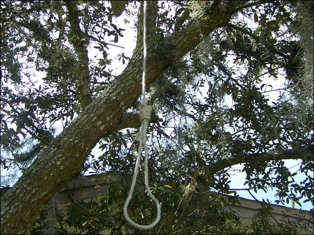 The body of a young man was found hanging from a tree in Sarjani Town