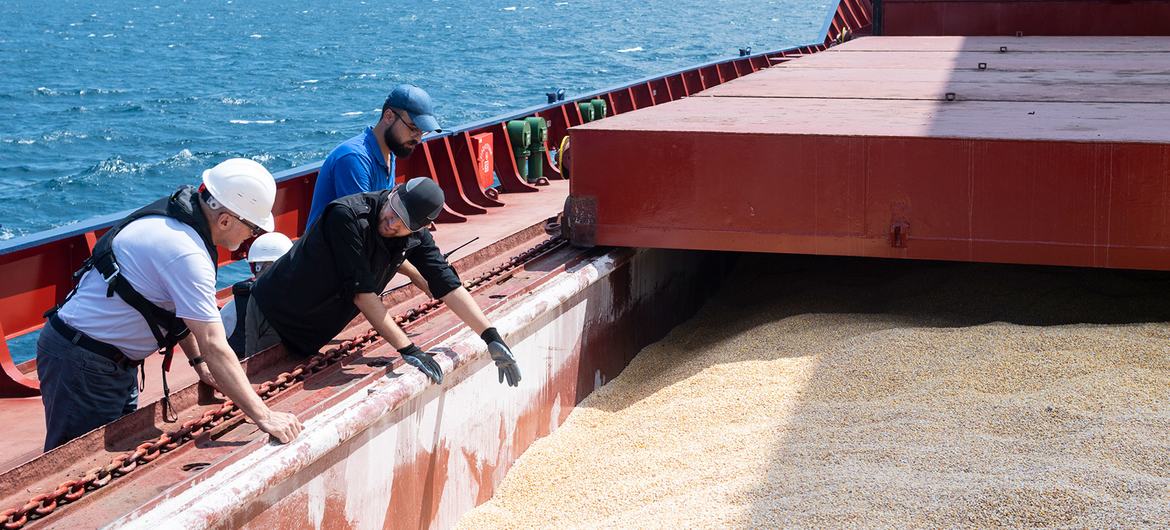 In the early months of the Ukraine war, shipping was disrupted, causing a huge spike in grain and other commodity prices (file August 2022)