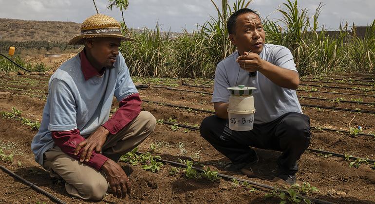 Cabo Verde beats back climate change through South-South cooperation