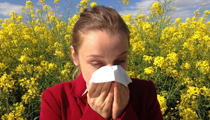 Natural remedies for common allergy symptoms