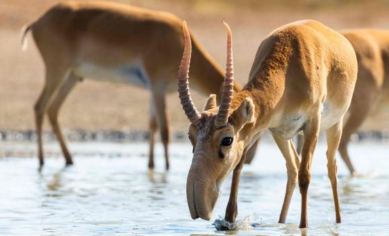 ‘Be part of the plan’ to end nature loss on Biodiversity Day