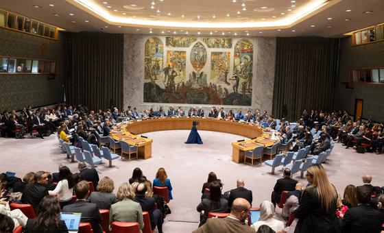 Pakistan, Somalia, Panama, Denmark and Greece elected to UN Security Council