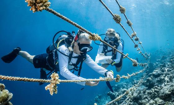 World Oceans Day event highlights immediate protection measures needed