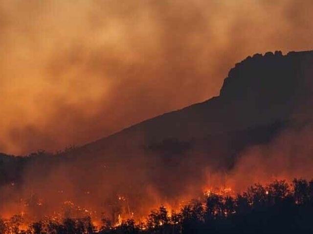 A fire broke out on the Margalla Hills once again Efforts are on by the administration to put out the fire—Photo: File