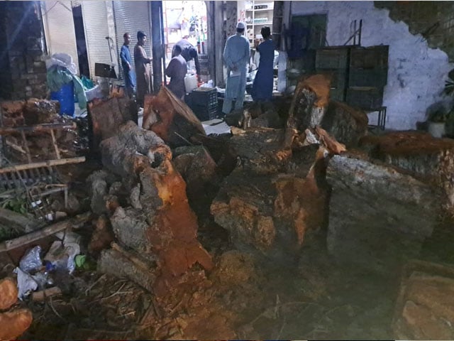 Peshawar;  An ancient peepal tree was cut down in front of Indian actor Shahrukh Khan's ancestral home