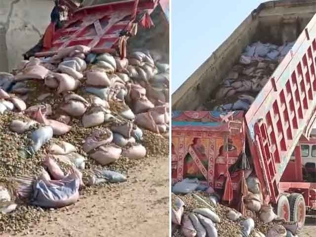 Police recovered a total of 550 sacks of chalia from the dumper