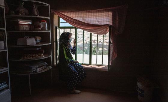 World News in Brief: ‘Gender apartheid’ in Afghanistan, DR Congo rights abuses, reforestation crucial to climate fight