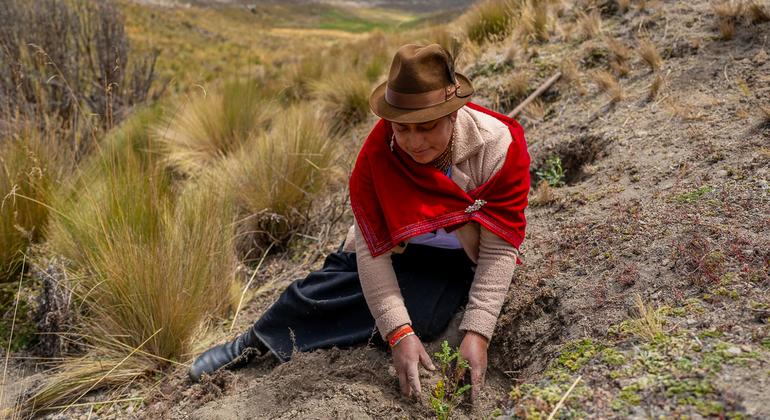 Break free from pollution, climate chaos and ‘biodiversity decimation’, UN chief urges