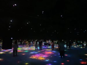 Tokyo Teamlabs- The Digital Borderless Artwork