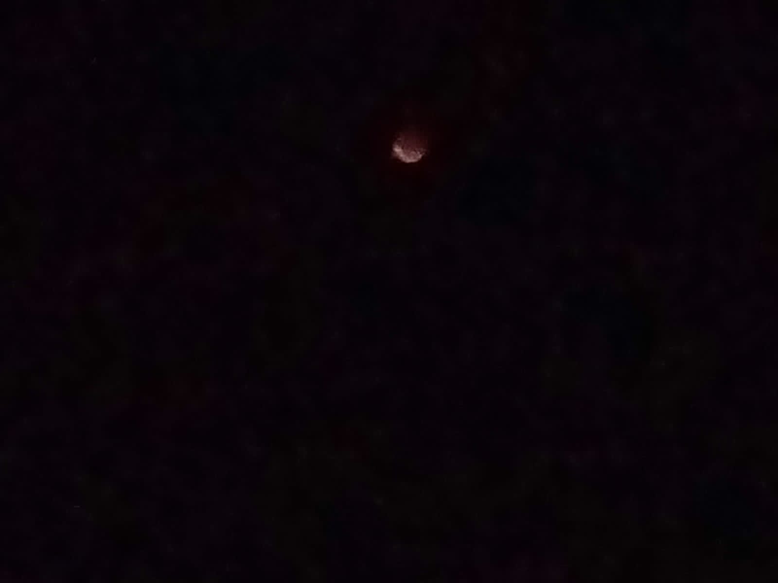Lunar Eclipse turns Amazing Night of Unity in Pakistan - Photo by: Wardah Ahmad, Peshawar Lunar Eclipse turns Amazing Night of Unity in Pakistan - Photo by: Wardah Ahmad, Peshawar