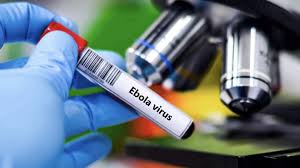 Ebola Travel Measures 2026: Urgent US Push to Europe