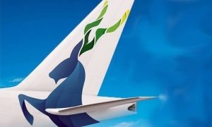 Rebranding Proposal for PIA Gains Strong Attention 3 Rebranding Proposal for PIA Gains Strong Attention