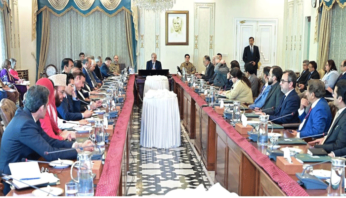shehbaz cabinet